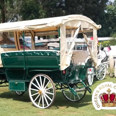 Family funfairs/Picnics/Safaris/Go country